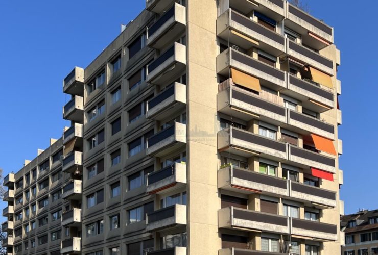 Belle surface d’environ 290m2 sise à la rue de Moillebeau 33 - 1209 Genève
