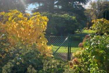 APPARTEMENT 6P/ Rez-de-jardin