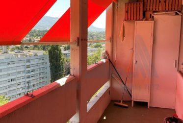 Appartement de 3 pièces au Grand-Lancy à louer